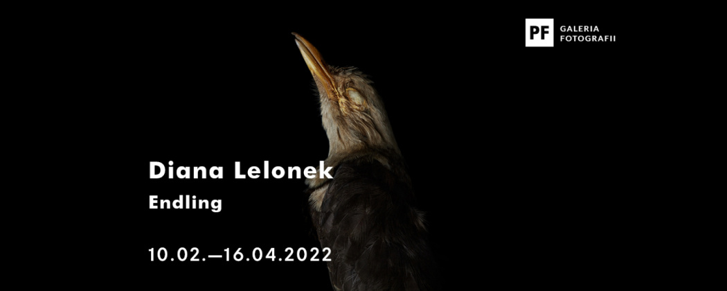 Wystawa Diany Lelonek "Endling" Źródło zdjęcia: Galeria Fotografii pf